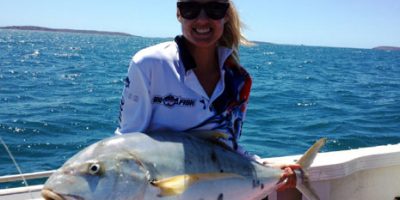 Williams golden trevally 1.jpg